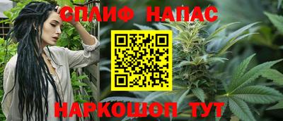 a pvp Обь