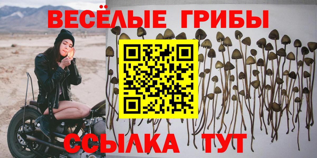 Псилоцибиновые грибы прущие грибы  Галлюциногенные грибы прущие грибы  Вход с VPN  Батайск 