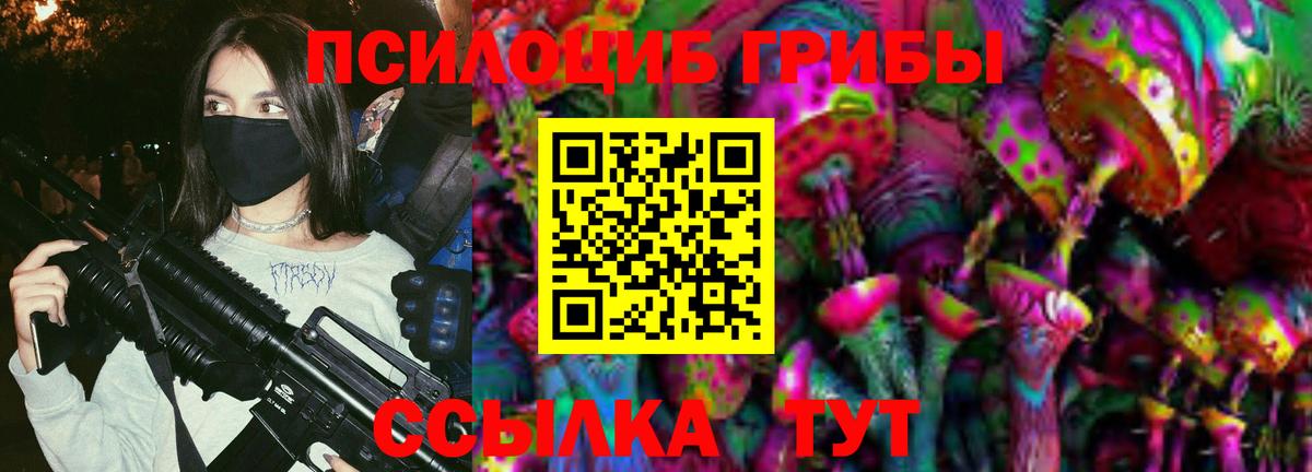 Псилоцибиновые грибы Cubensis Батайск